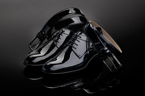 Elegant  man shoe  shine leather 